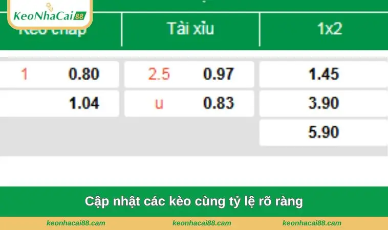 Cập nhật các kèo cùng tỷ lệ rõ ràng