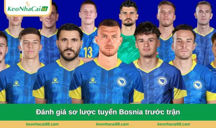 Đánh giá sơ lược tuyển Bosnia trước trận