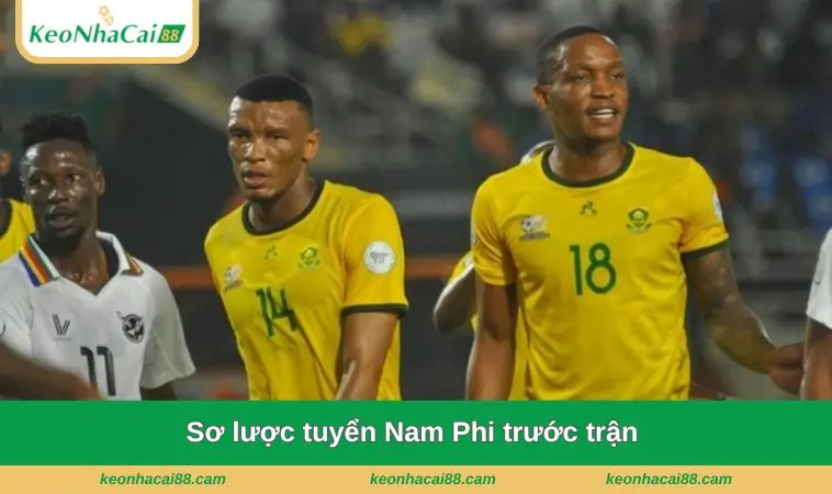 Sơ lược tuyển Nam Phi trước trận 
